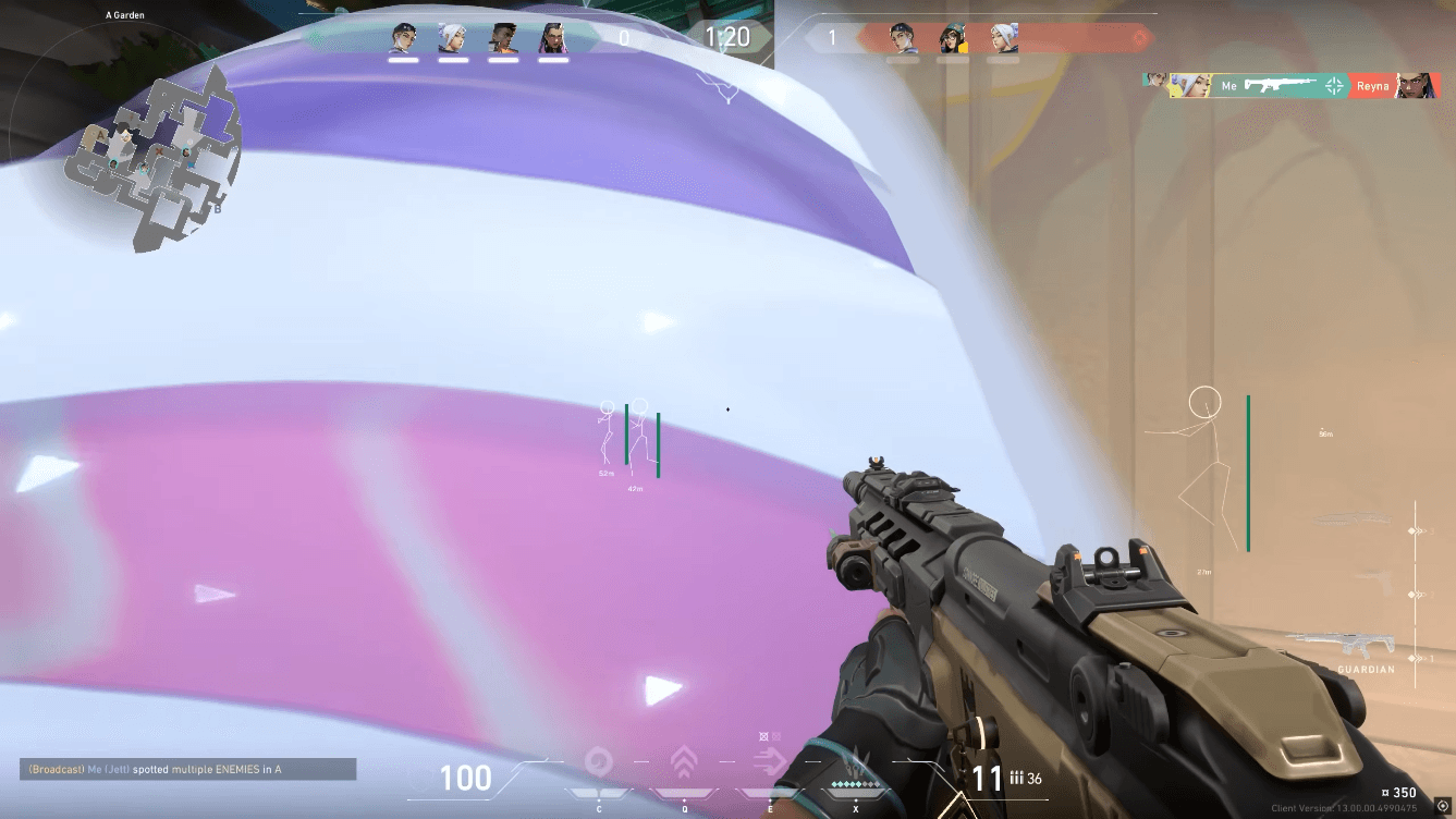 Valorant pro cheat screenshot 2