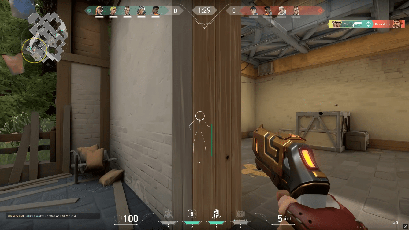 Valorant pro cheat screenshot 4